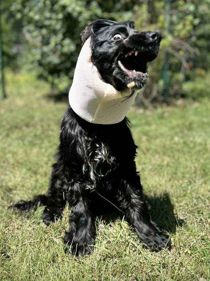 Snood filet