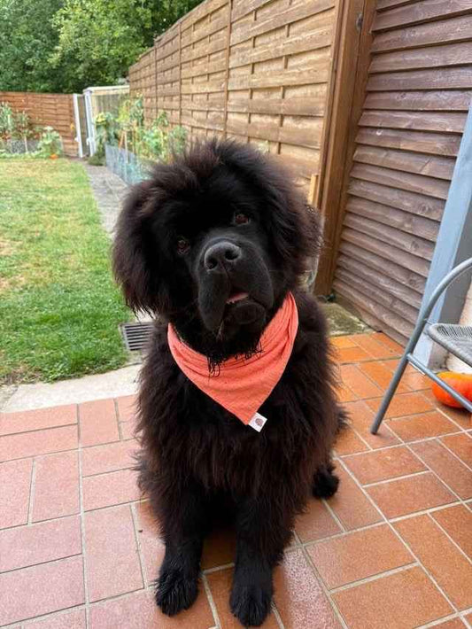 Bandana en double gaze de coton