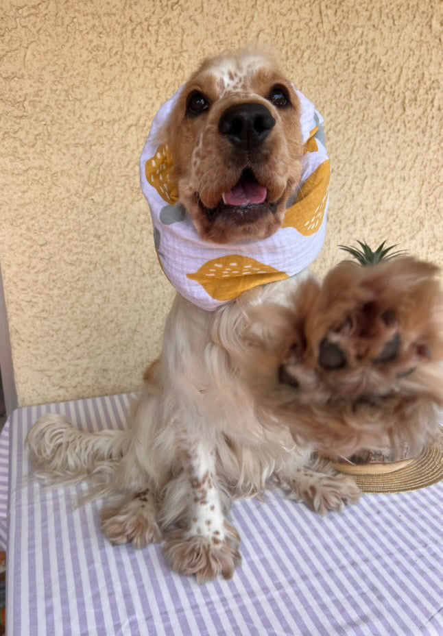 Snood en double gaze de coton