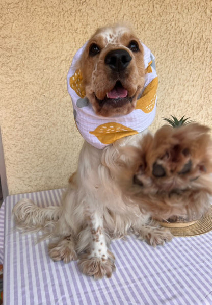 Snood en double gaze de coton