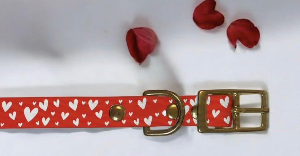 Collier en biothane  - motifs St Valentin