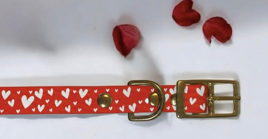 Collier en biothane  - motifs St Valentin