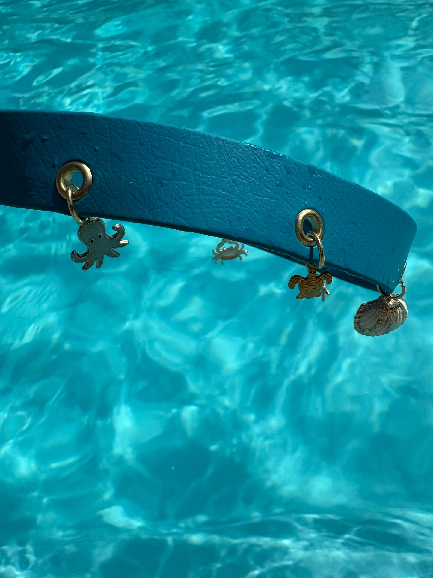 Collier en biothane à charms