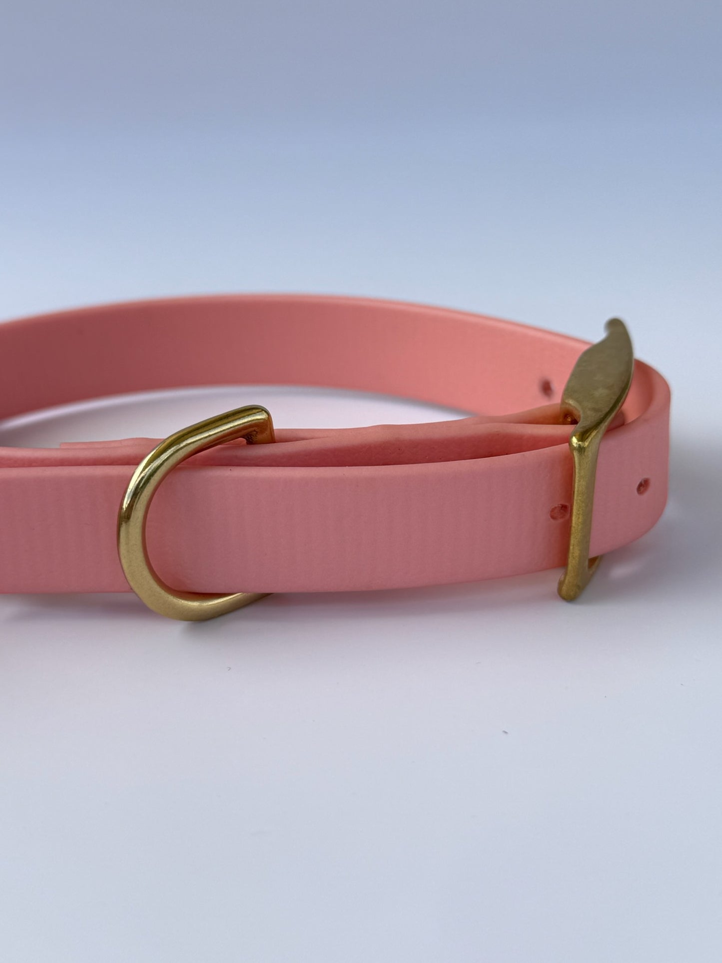 Collier en biothane à charms