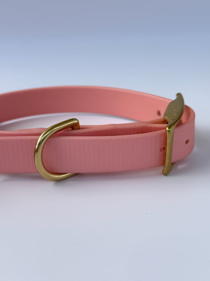 Collier en biothane à charms