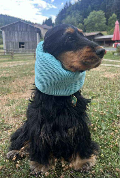 Snood filet