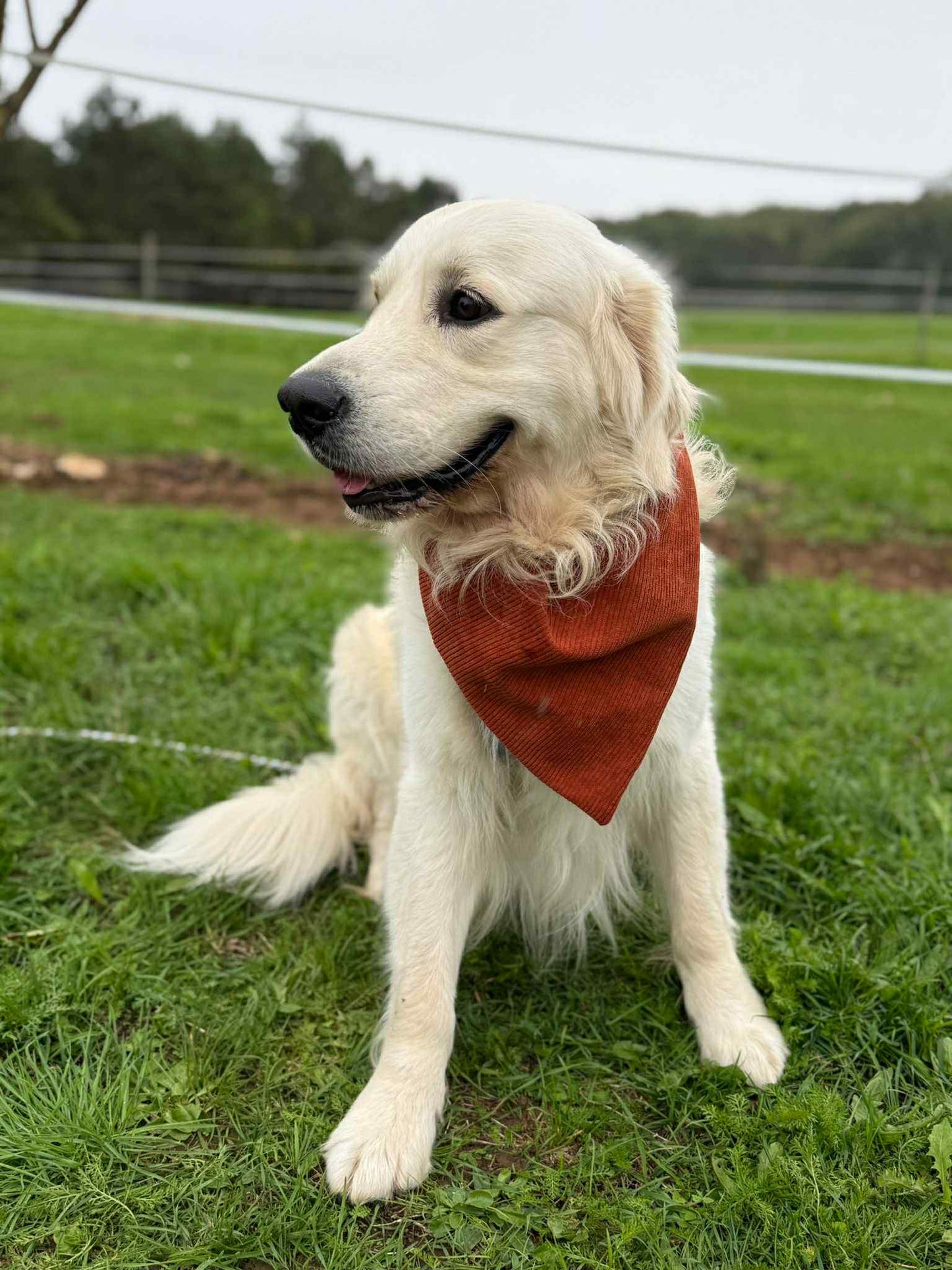 Bandana en velours côtelé