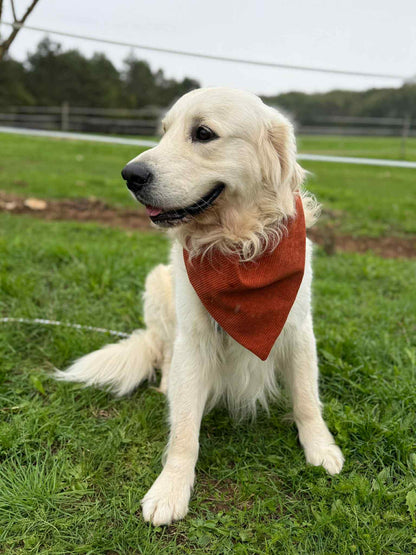 Bandana en velours côtelé