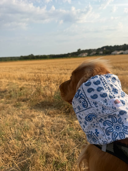 Snood en coton - Eclat d'Azur