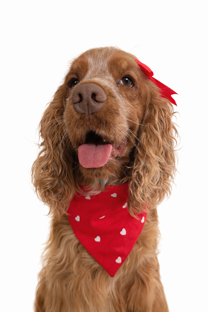 Bandana St Valentin