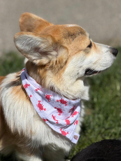 Bandana en double gaze de coton - été