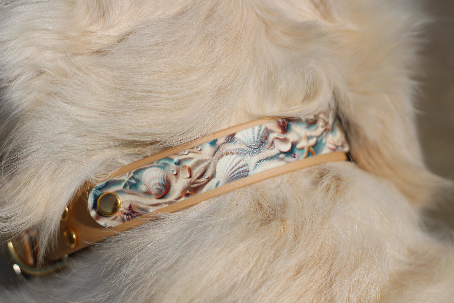 Collier Patchi en biothane - motifs été