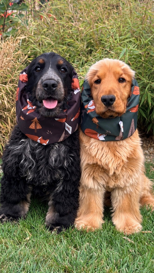 Snood imperméable - animaux