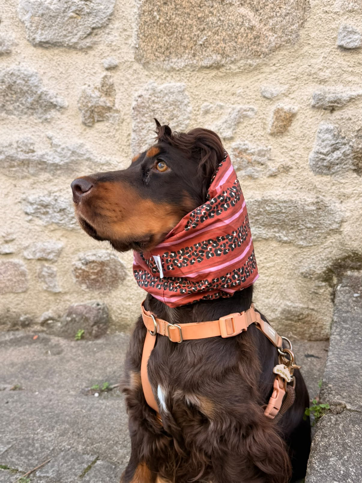 Snood léopard - imperméable