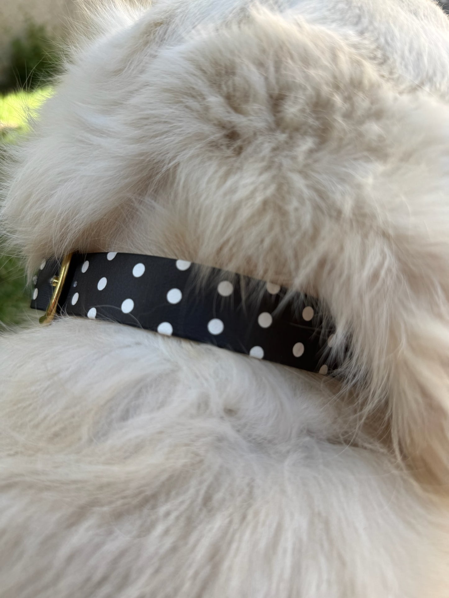 Collier en biothane - motifs pois