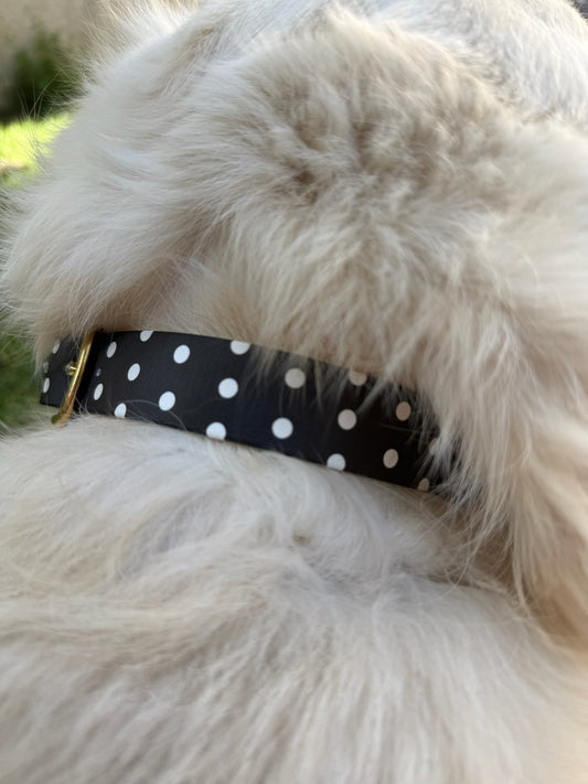 Collier en biothane - motifs pois