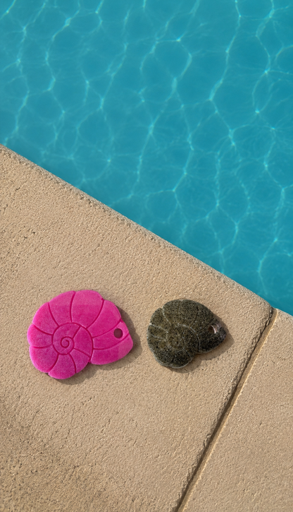 Médaille Ammonite