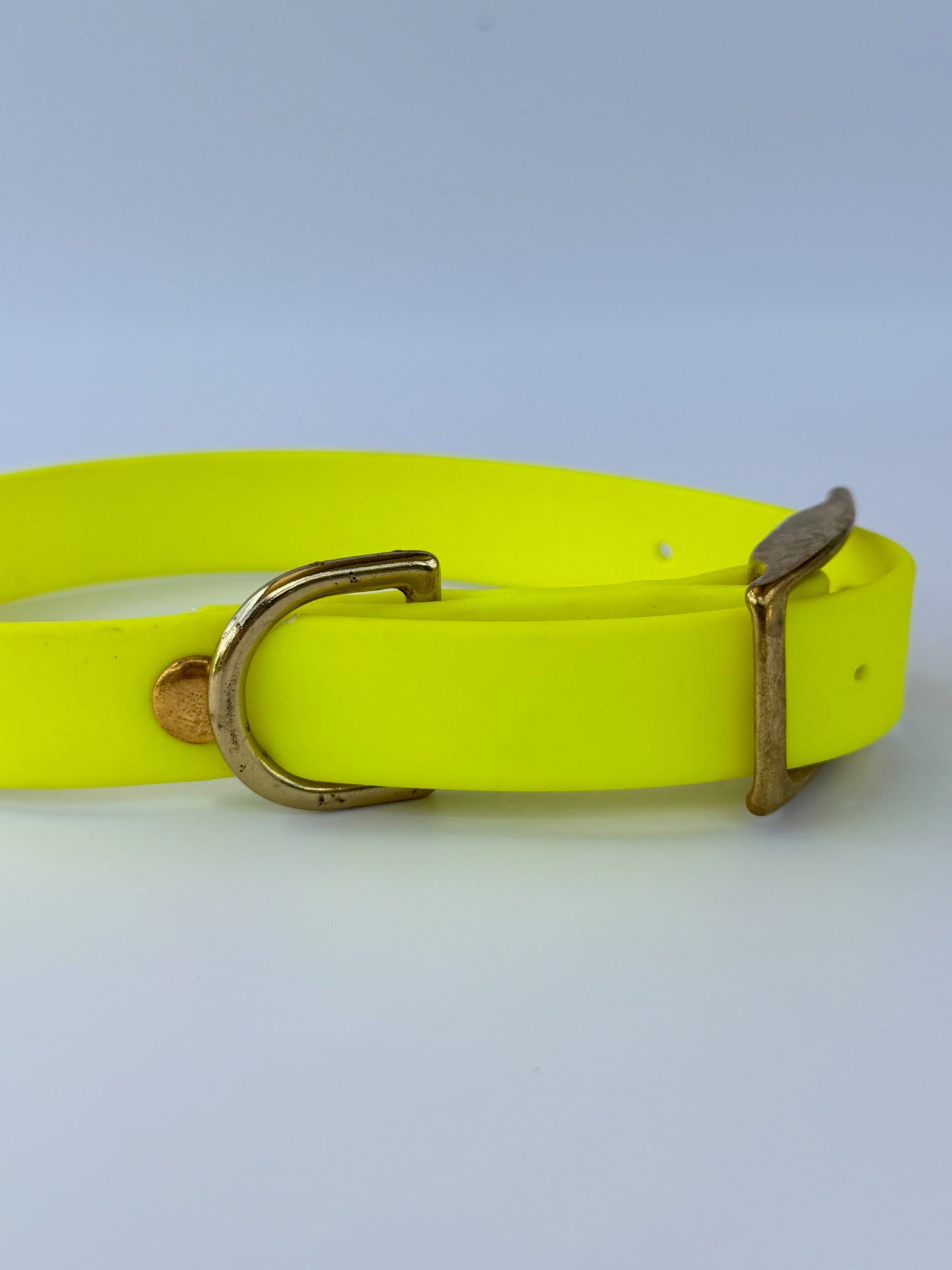 Collier en biothane à charms