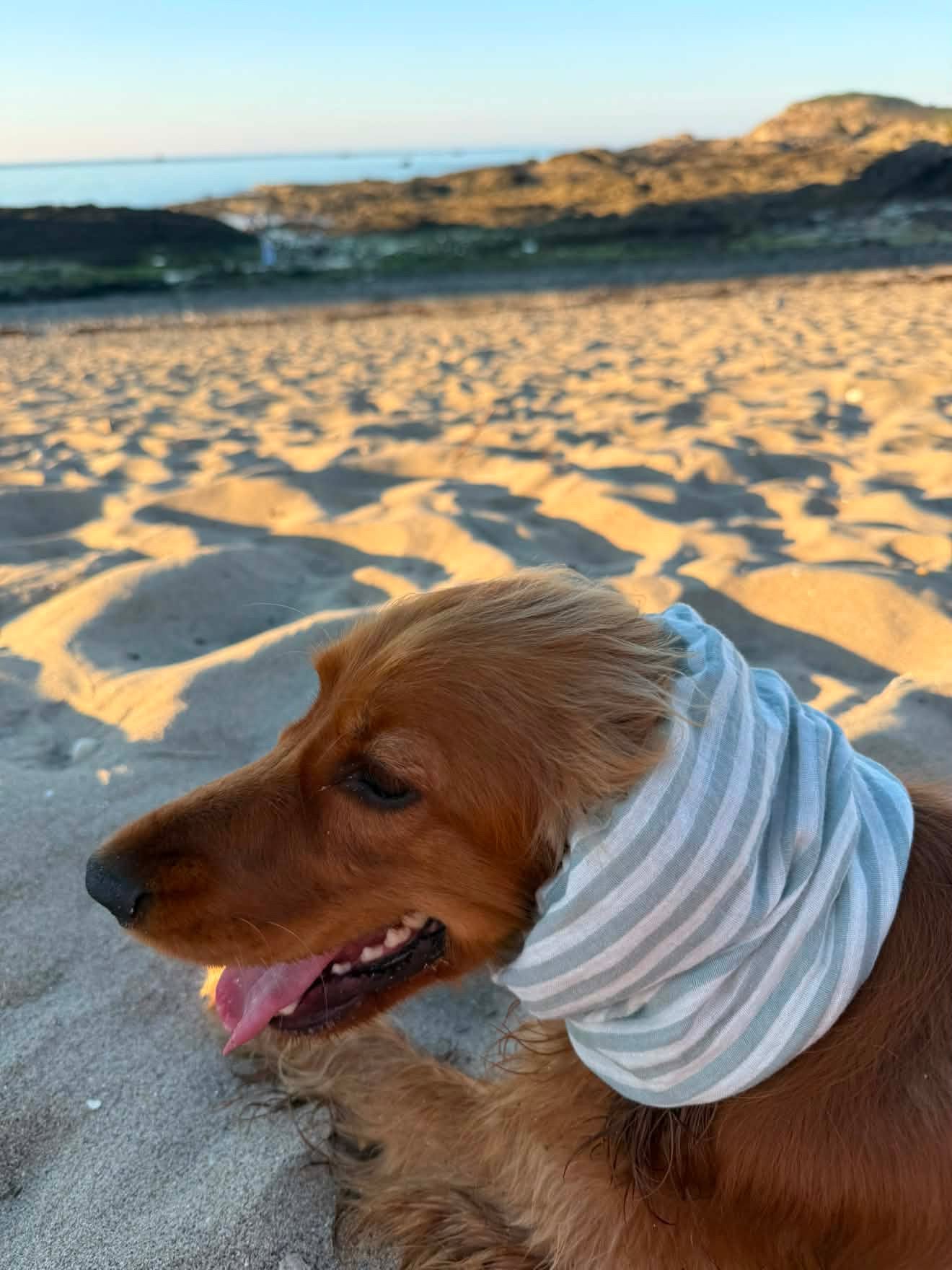 Snood en double gaze de coton - rayures