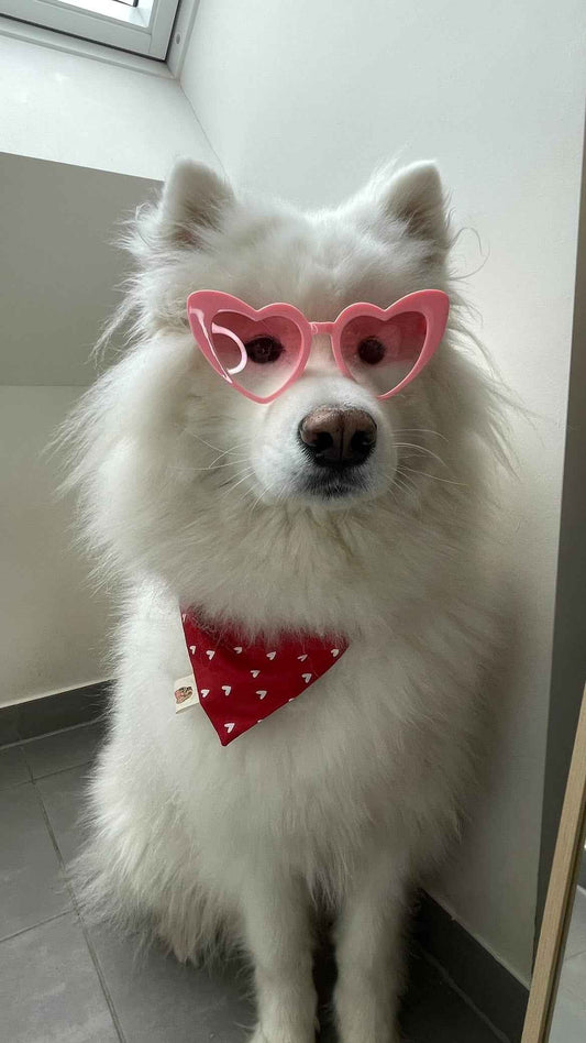 Bandana imperméable