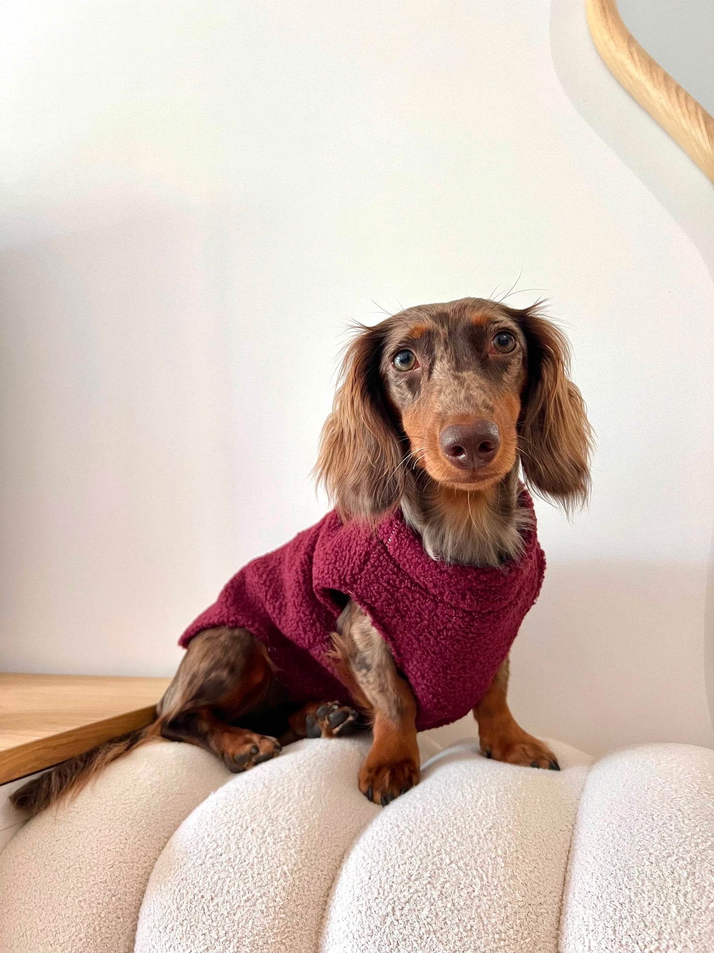 Pull en bouclette - Teckels