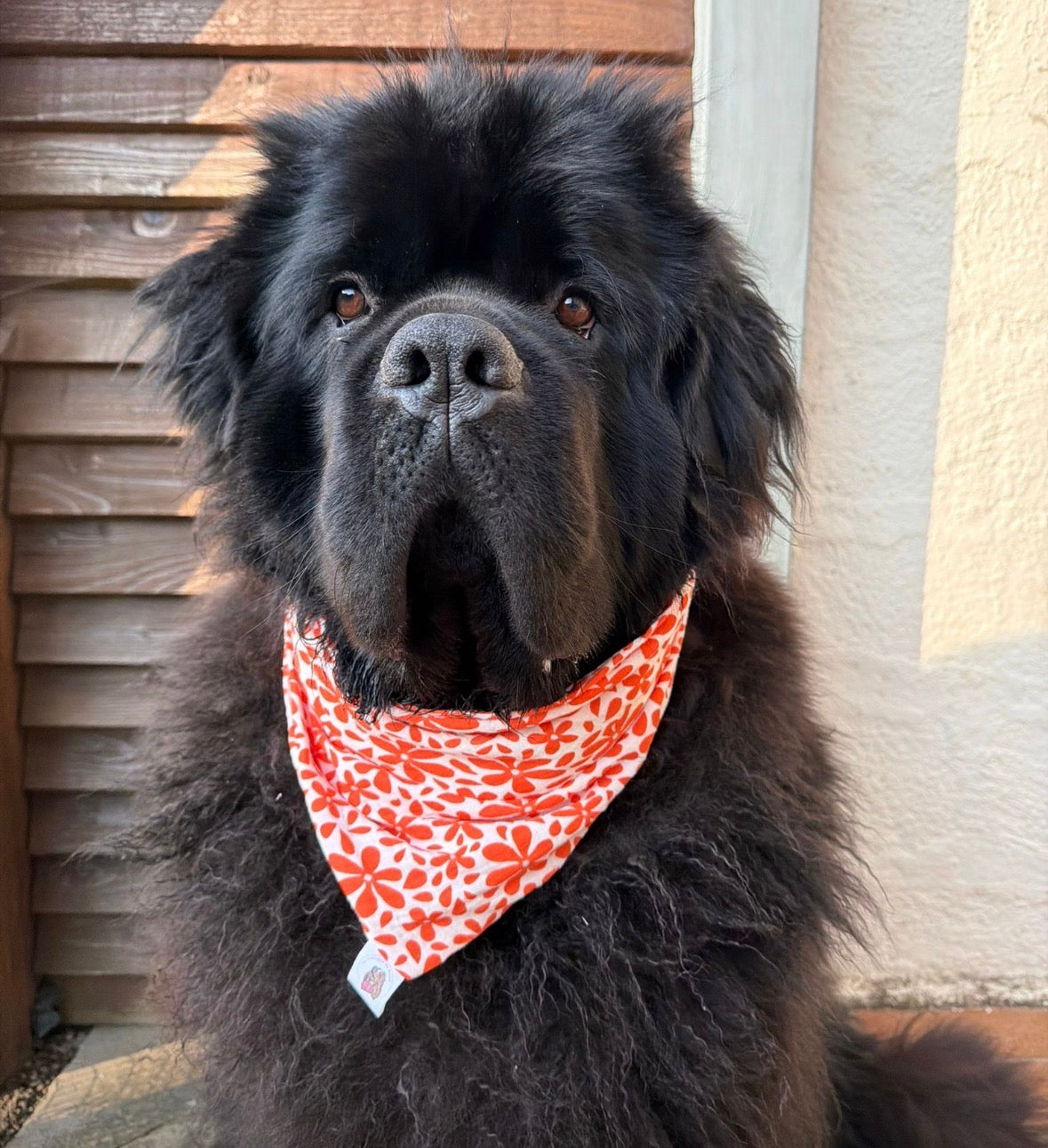 Bandana en double gaze de coton - été