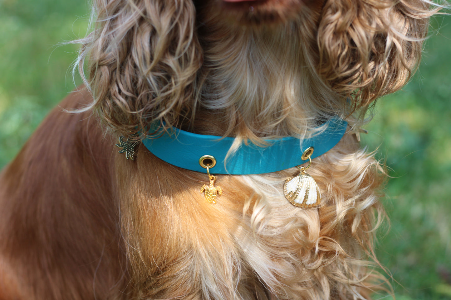 Collier en biothane à charms