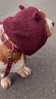 Snood - oreilles d'ours