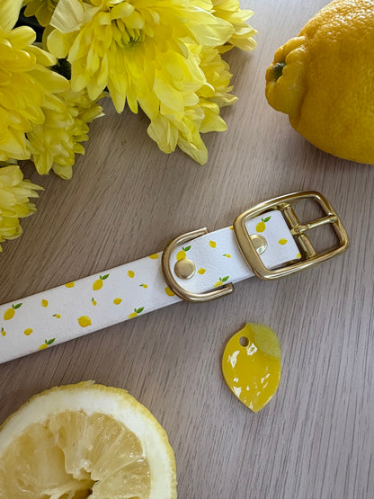 Collier fruité en biothane