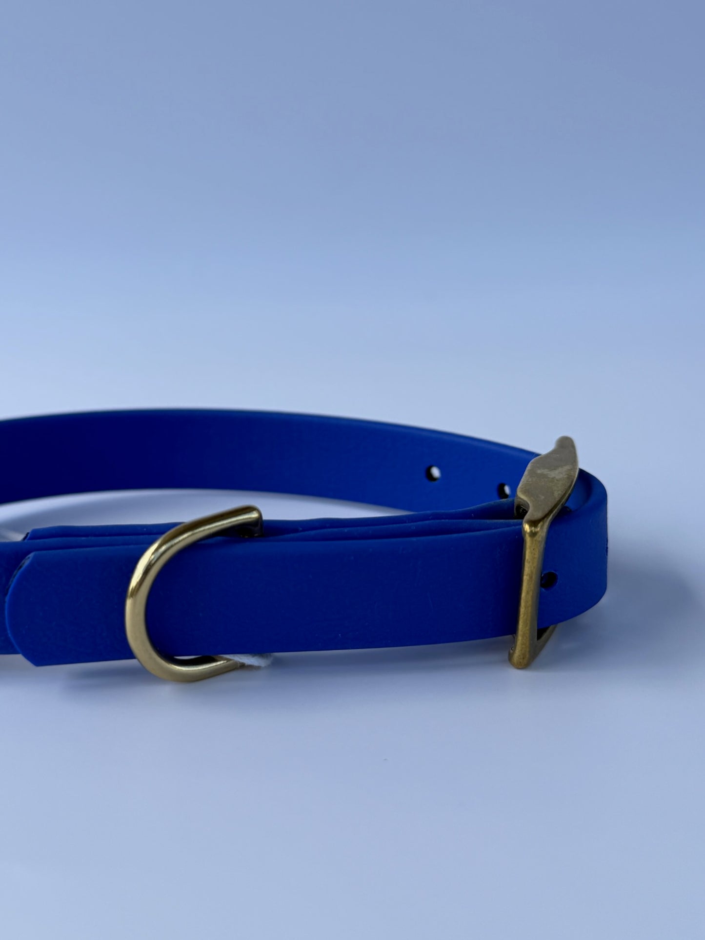 Collier en biothane