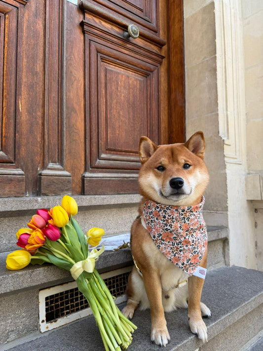 Bandana en coton - fleurs