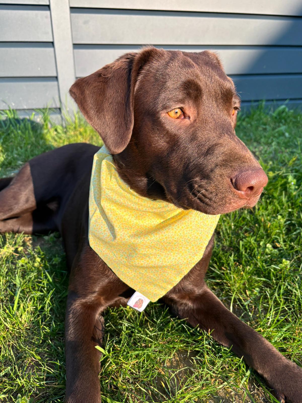 Bandana en coton - fleurs