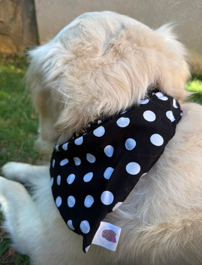 Bandana en coton - pois
