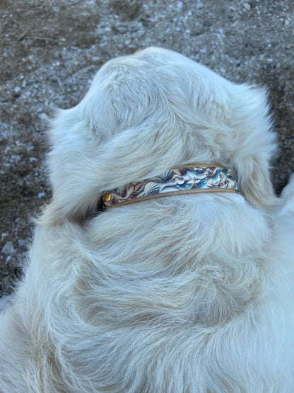 Collier Patchi en biothane - motifs été