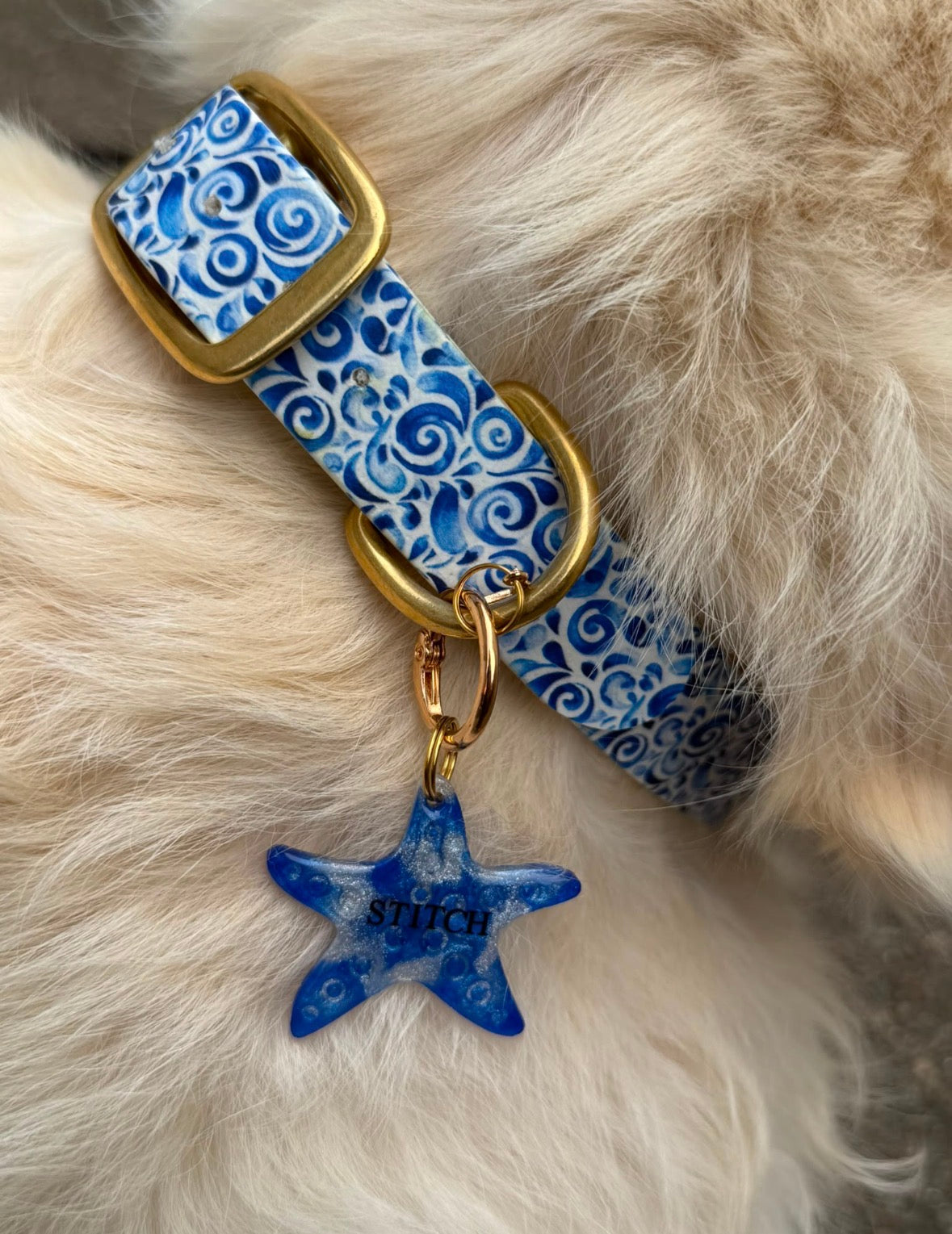 Collier en biothane - Eclats d'Azur