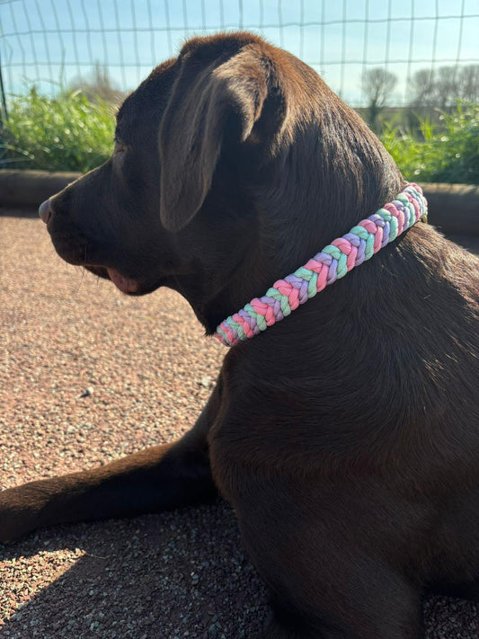 Collier Baloo