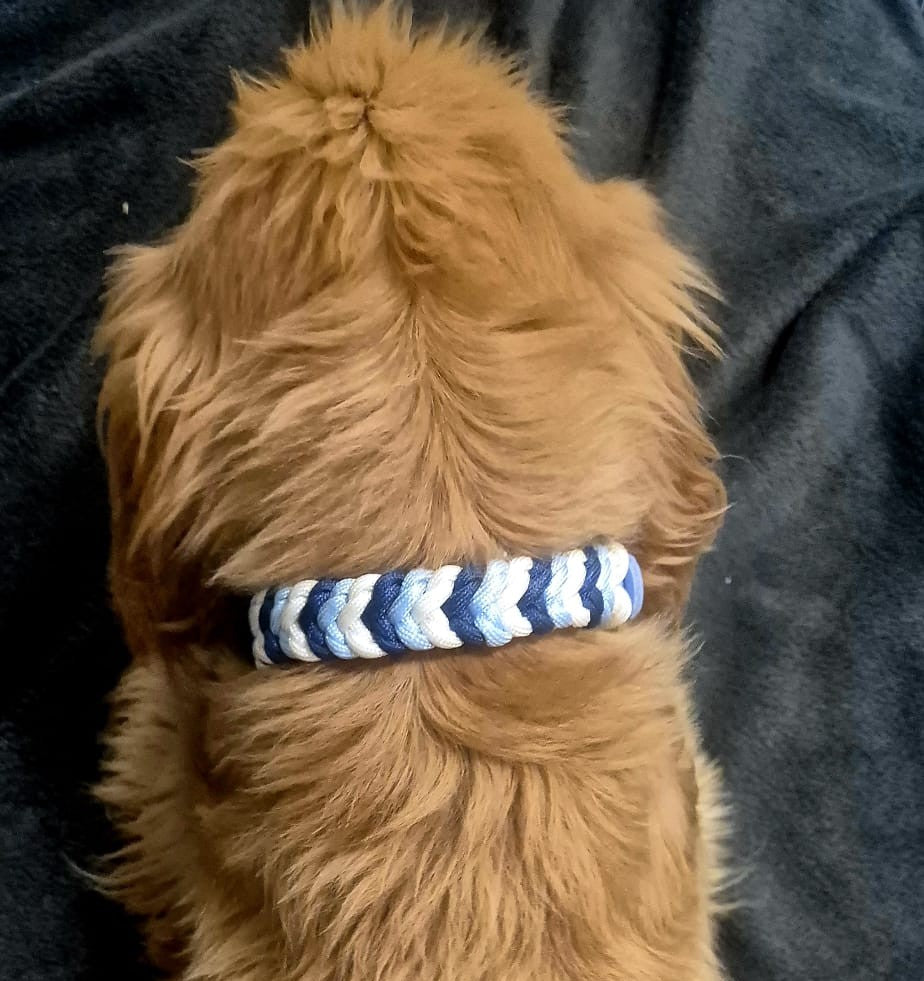 Collier Baloo