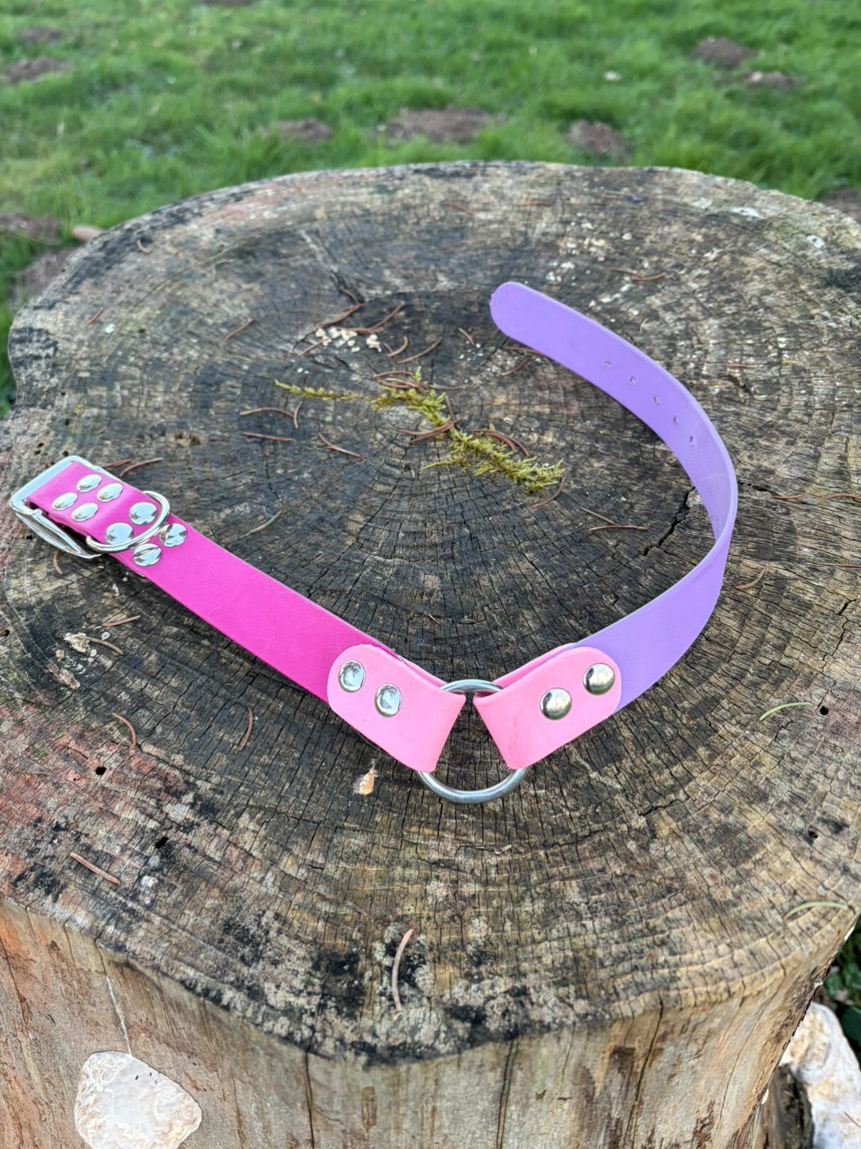 Collier Stitch