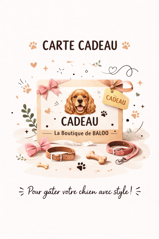 Carte-Cadeau