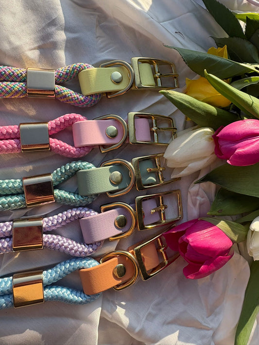 Collier Saïko : corde & biothane - pastel
