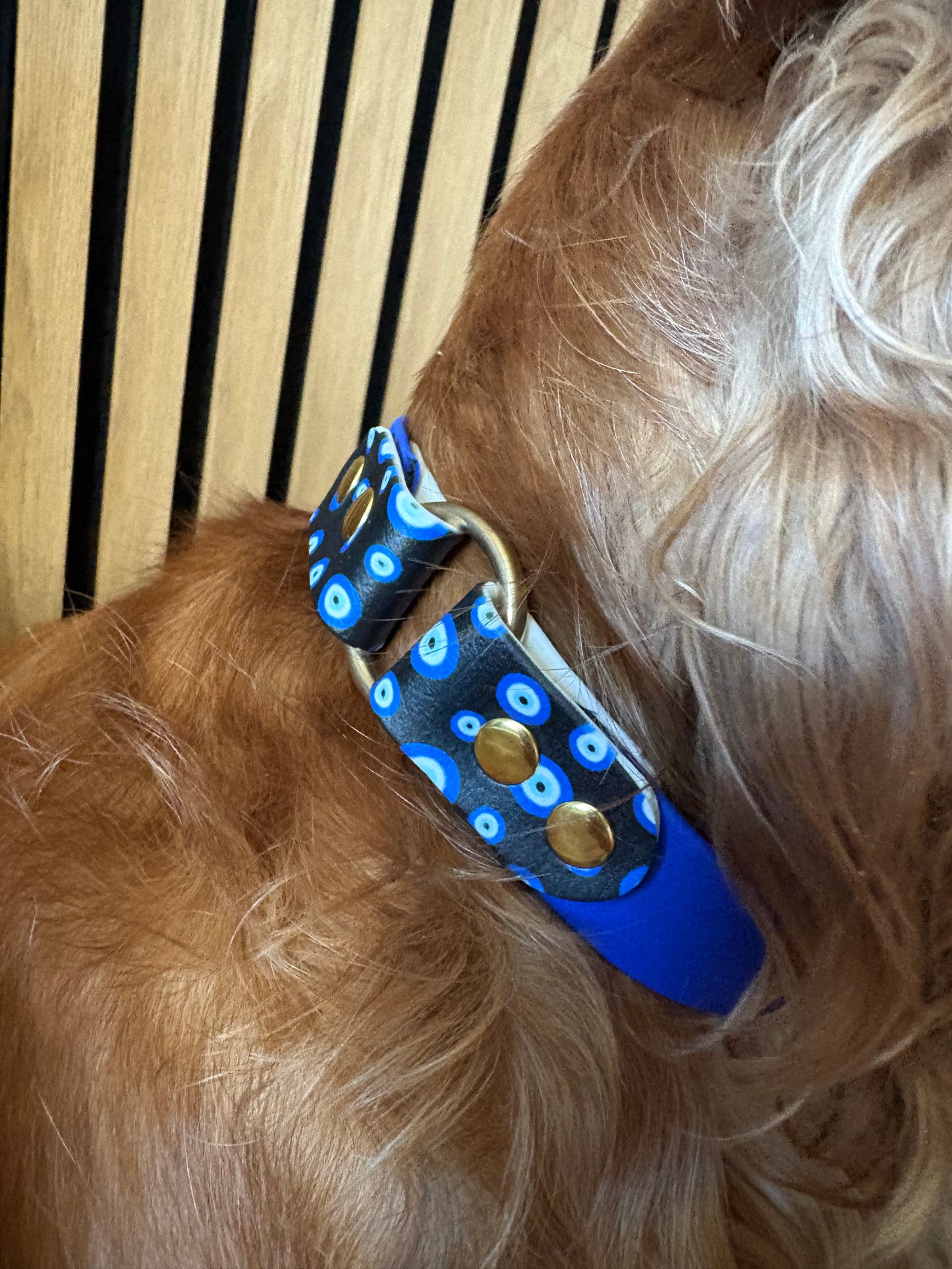 Collier en biothane - Eclats d'Azur