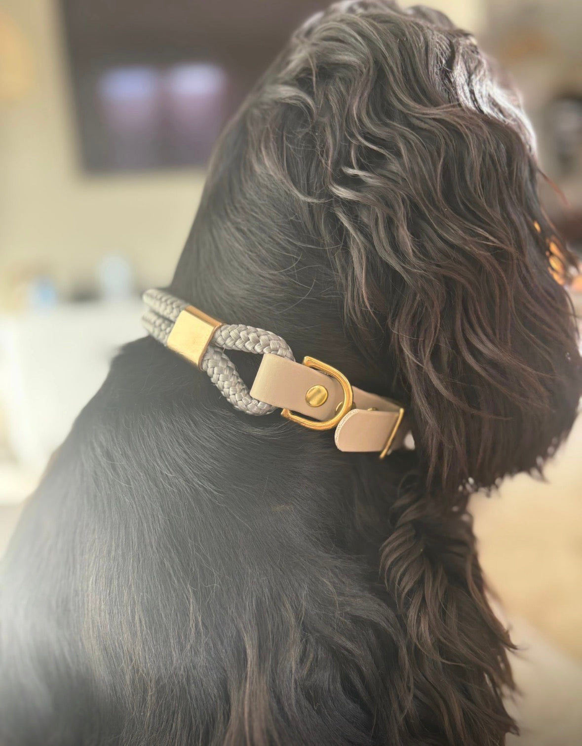 Collier Saïko : corde & biothane