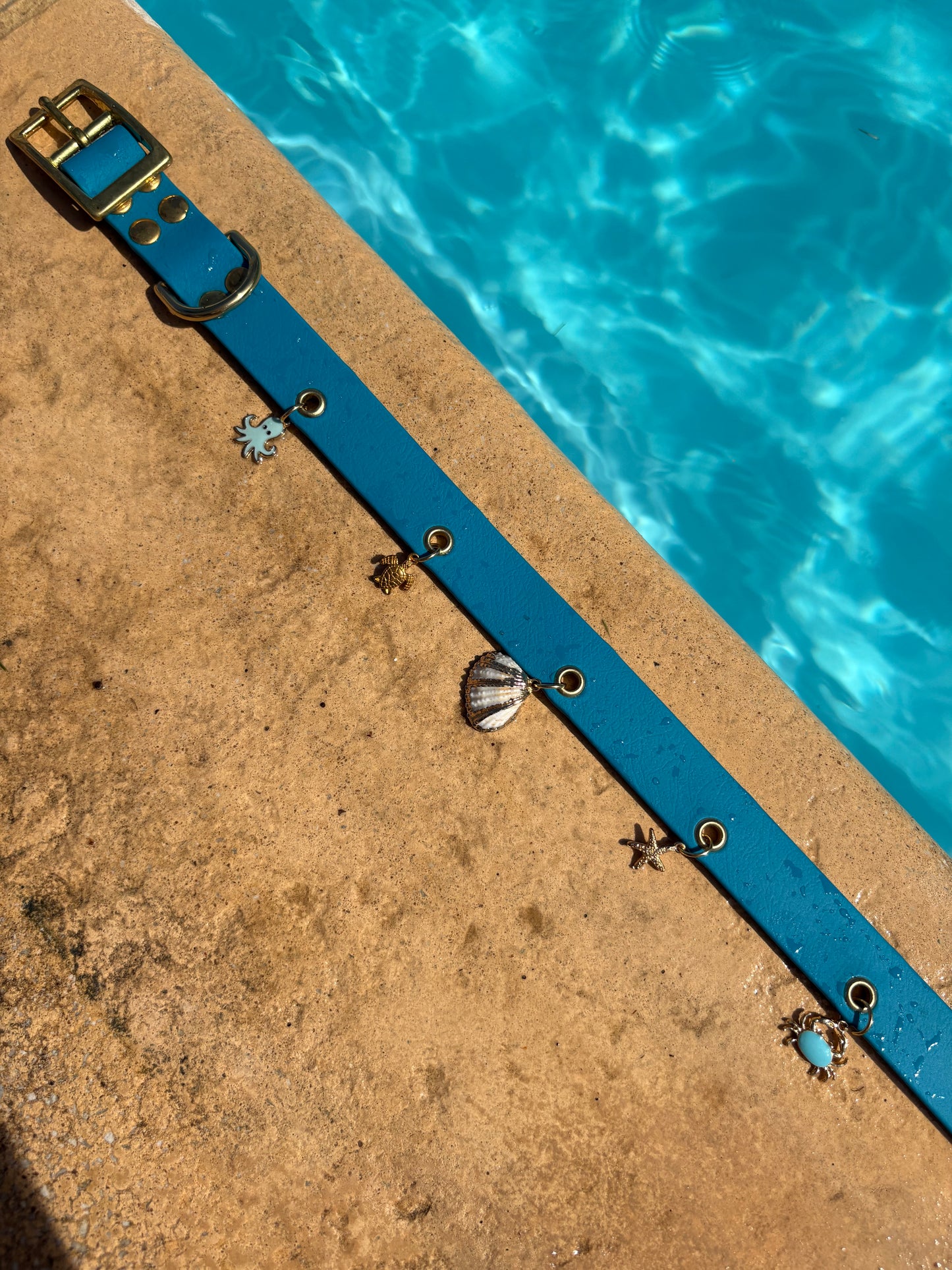 Collier en biothane à charms