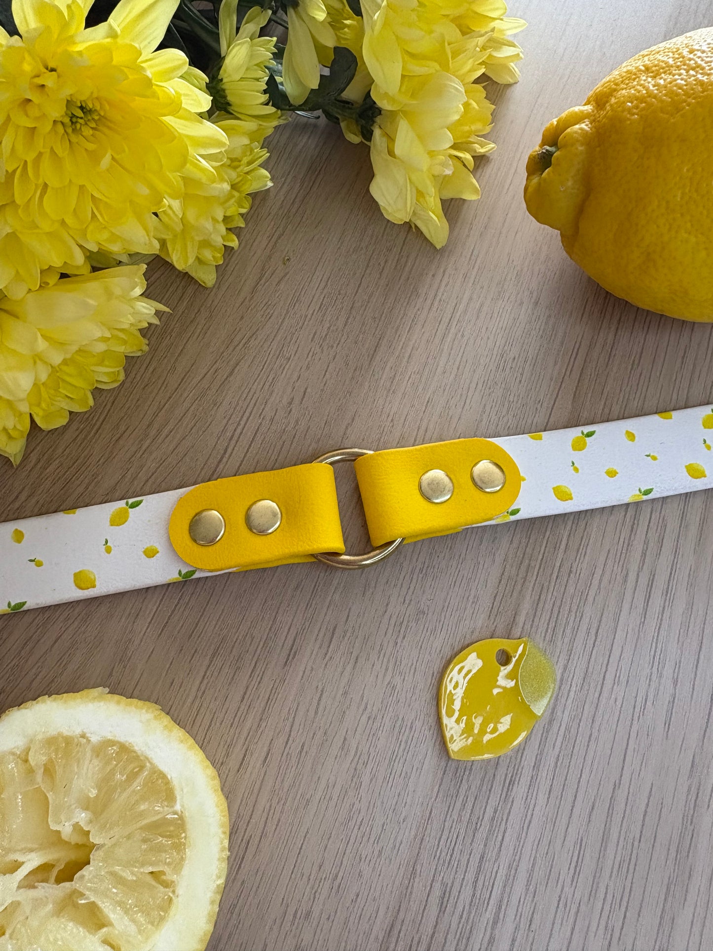 Collier fruité en biothane
