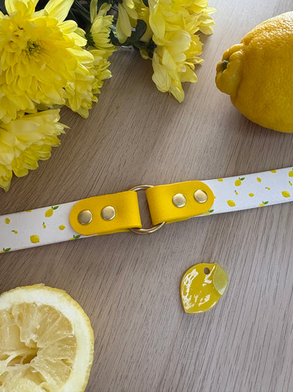 Collier fruité en biothane