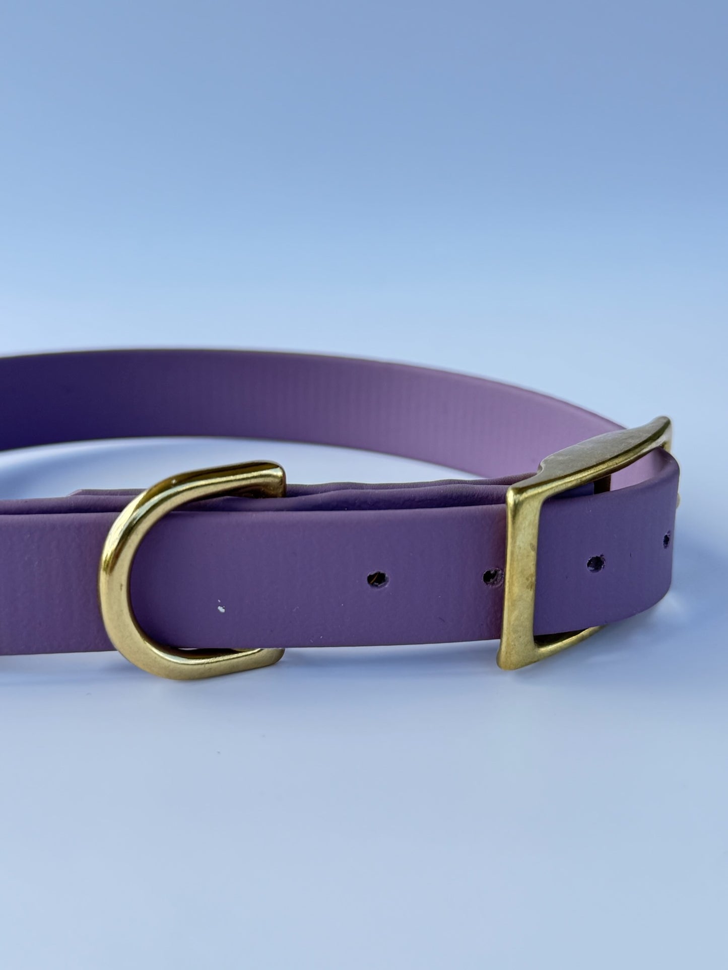Collier en biothane