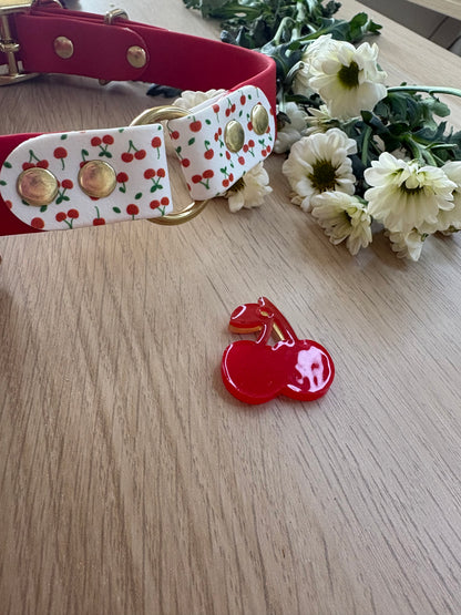 Collier fruité en biothane