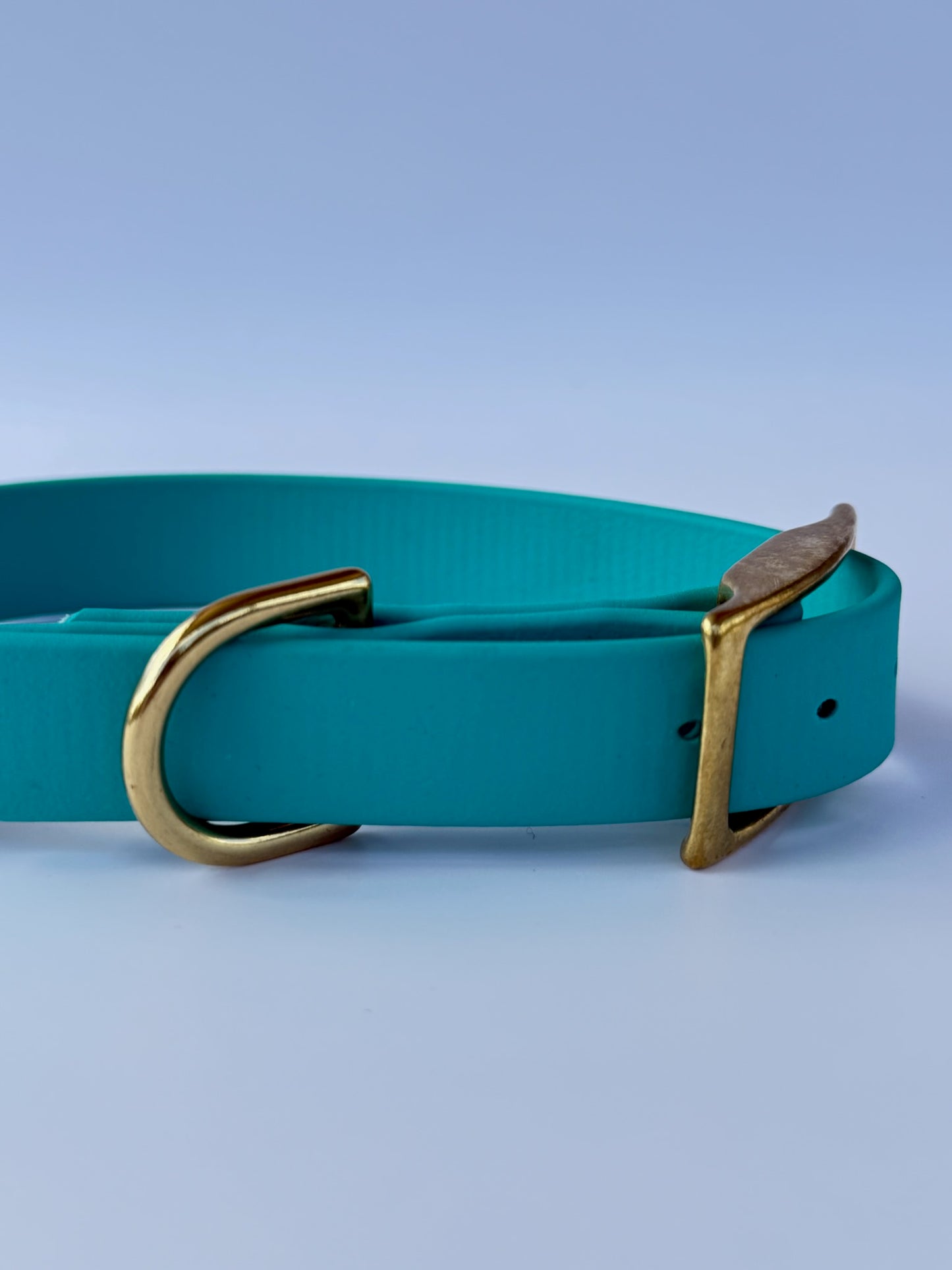 Collier en biothane à charms