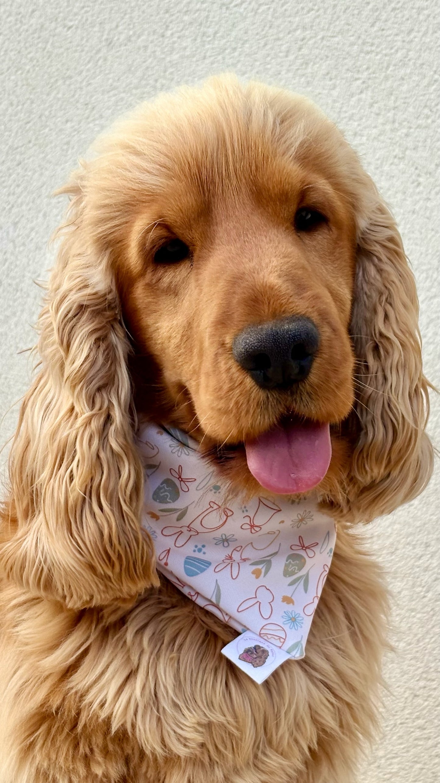Bandana Pâques 🐰