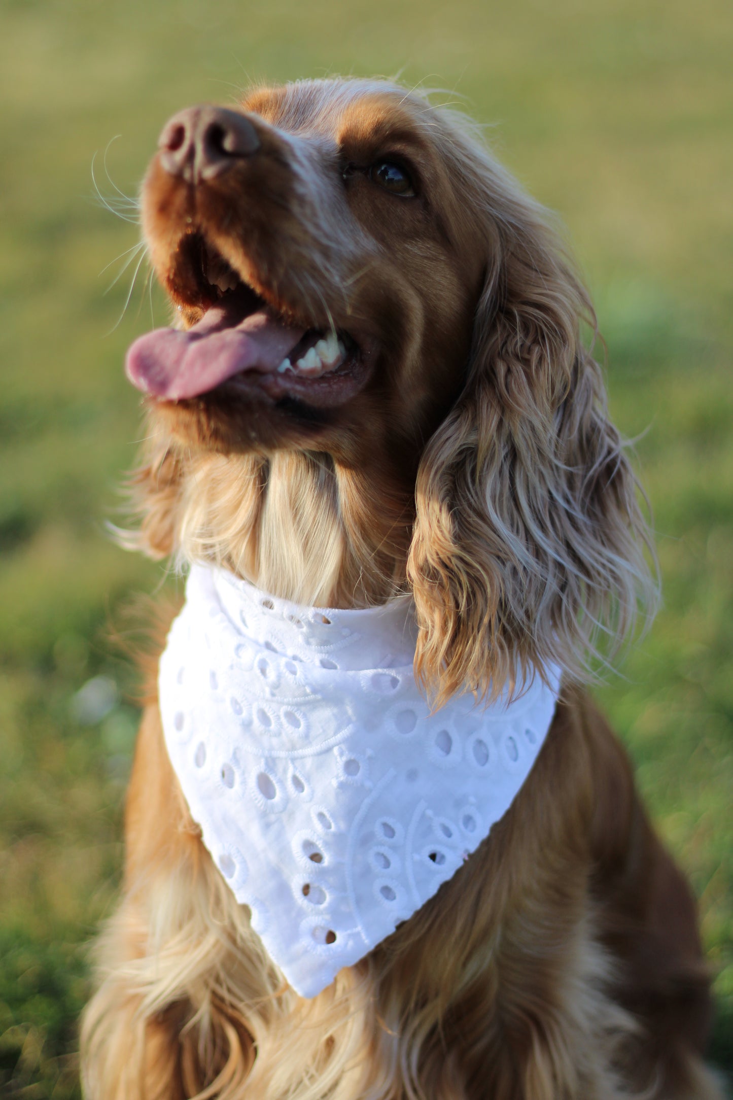 Bandana broderie anglaise